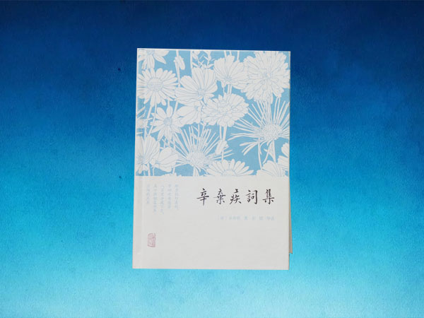 精装书1
