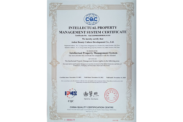 CQC Intellectual Property Management System - GBT29490-2013